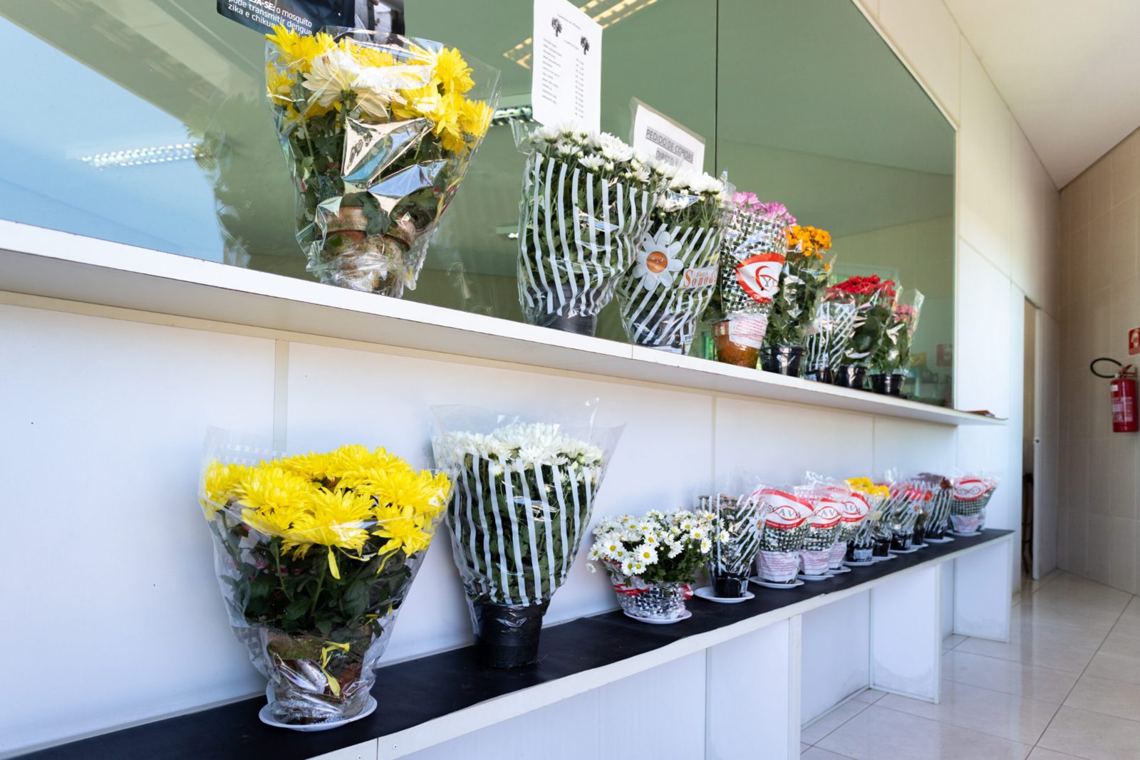 Balcão da floricultura com buquês e arranjos prontos