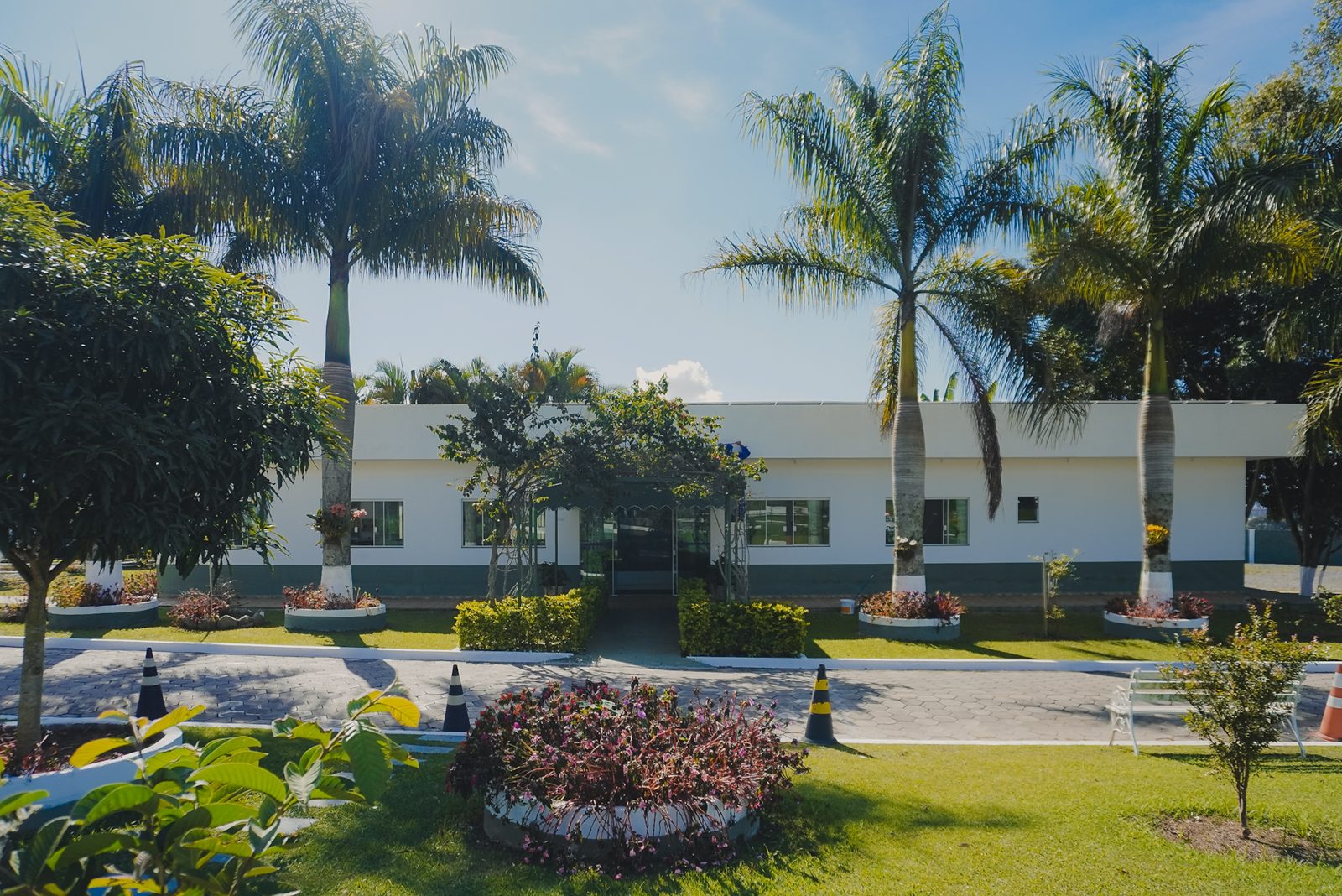 Administração do cemitério entre palmeiras