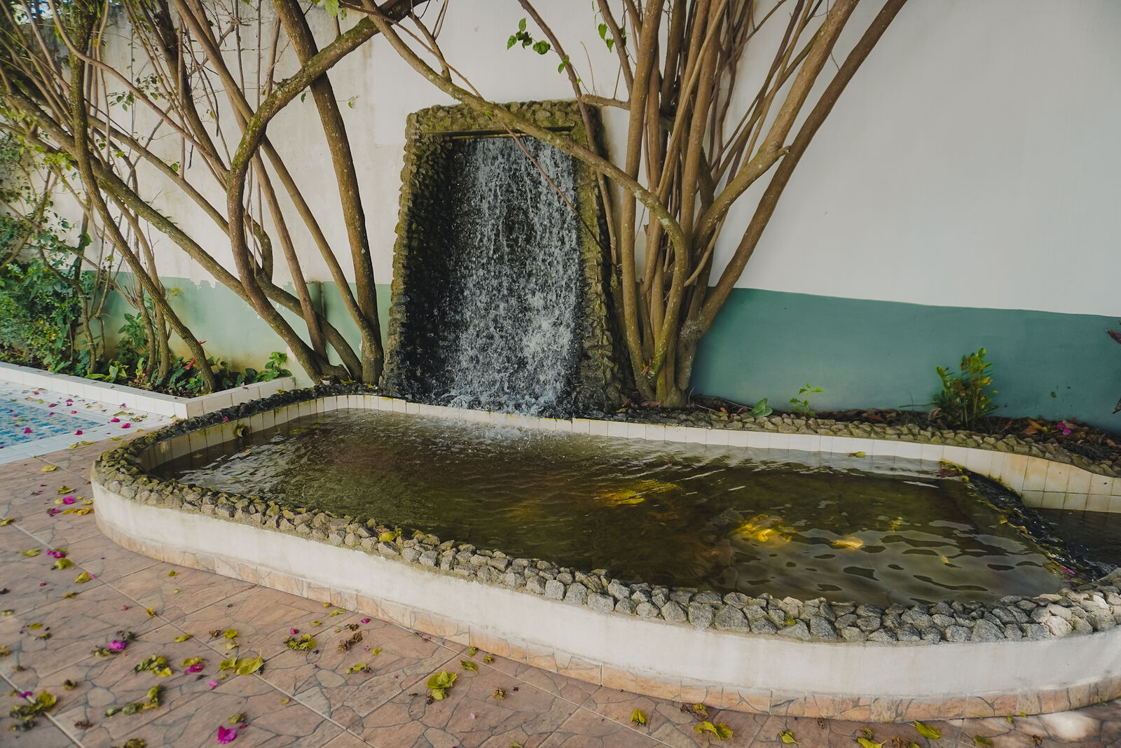 Cascata do jardim
